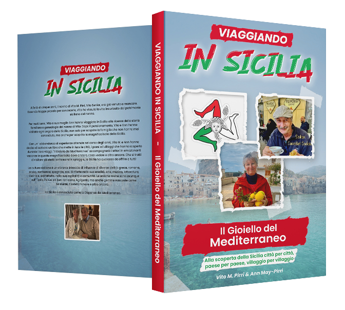 in-silica